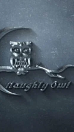 Naughtyowlstudios