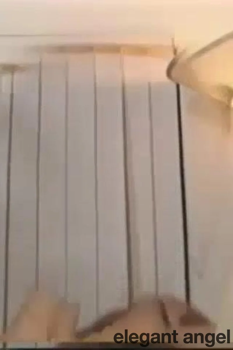Cumback Pussy 23