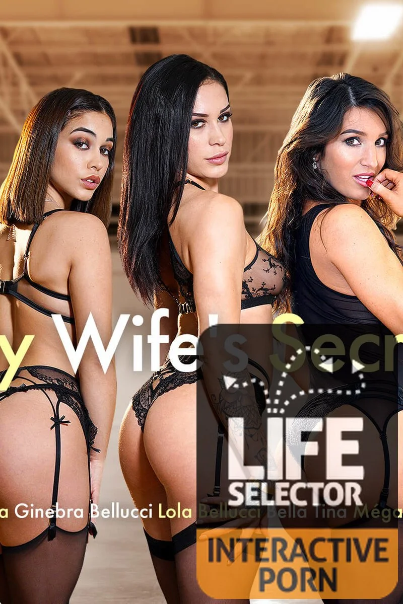 My Wife's Secrets