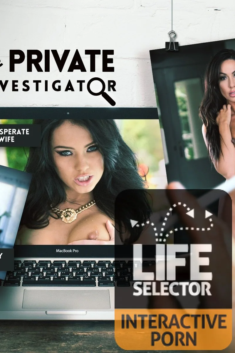 The Private Investigator