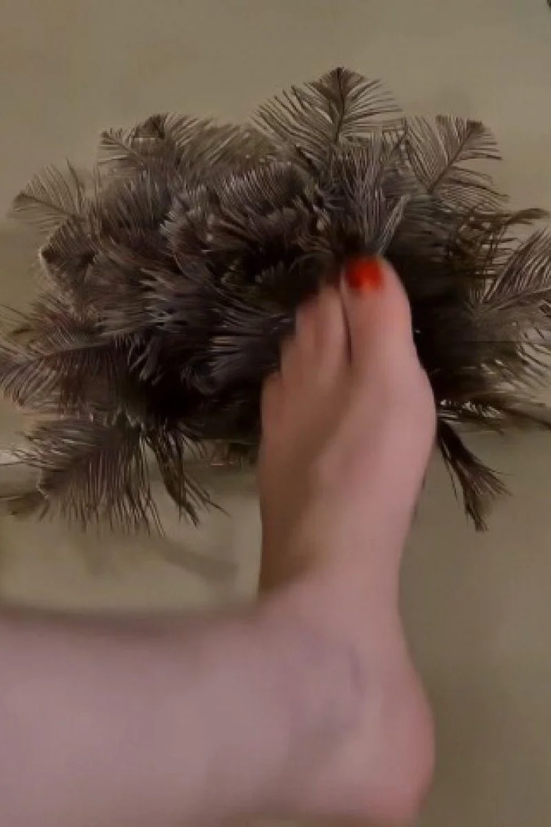 Slow Motion Teasing My Foot With Feathers Part 2