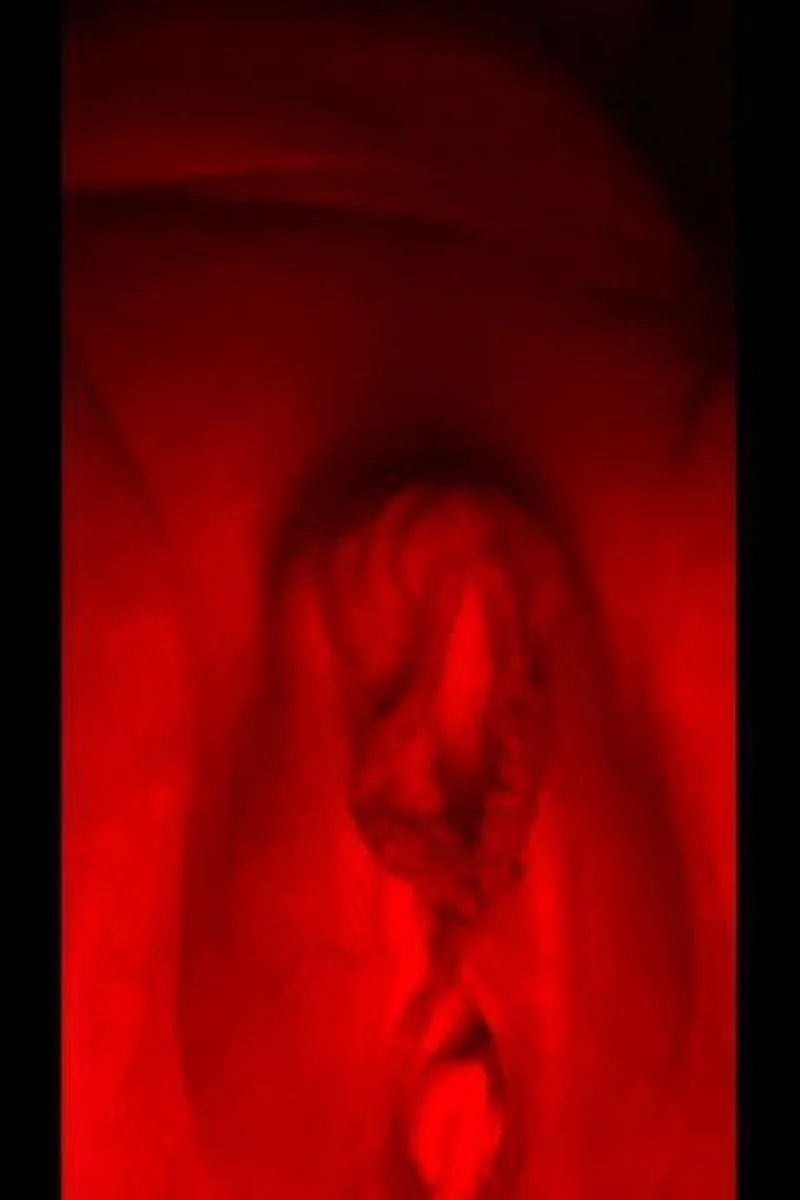 Pussy Tease Night Vision