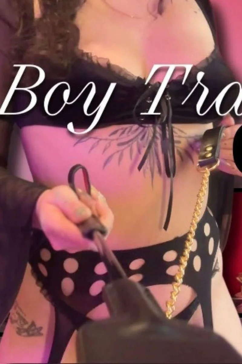 Good Boy Training - Cbt