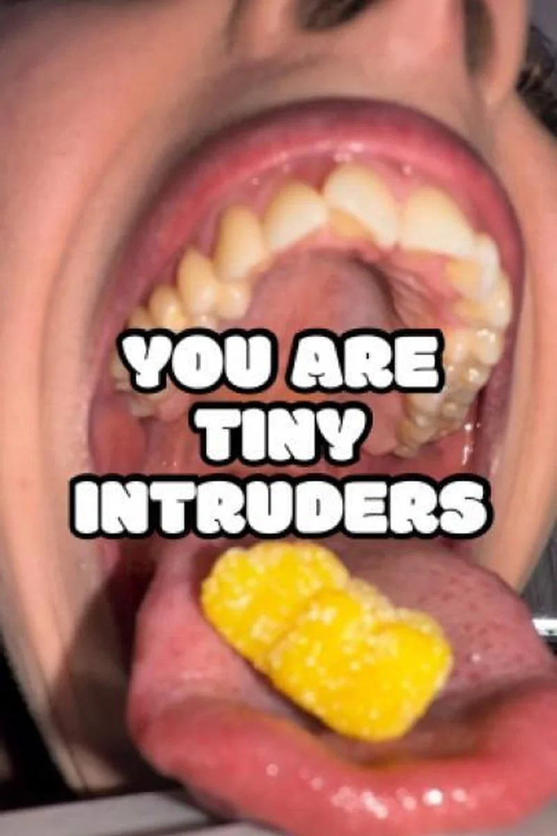 Tiny Intruders In My House