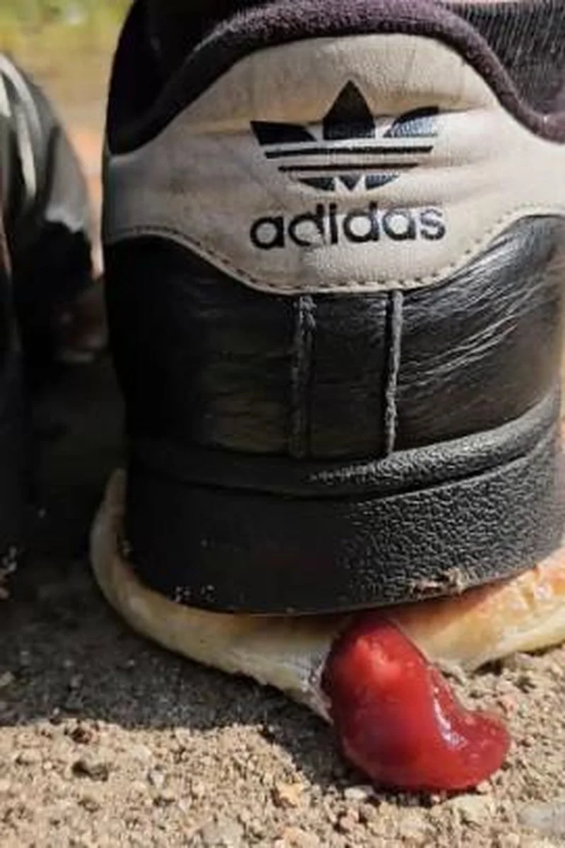 Jam Doughnuts Crush In Adidas