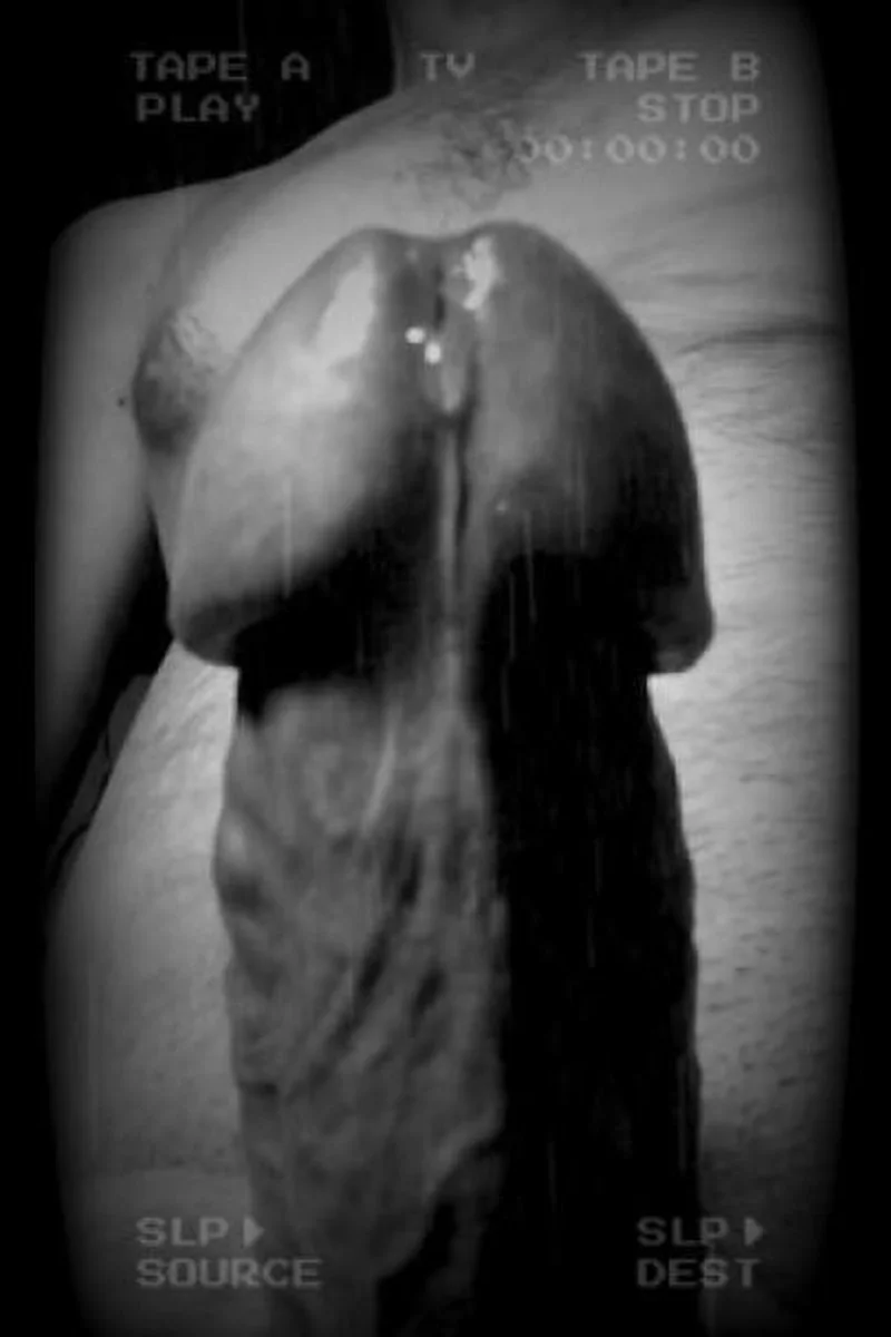 Hot White Cock - Vintage Style