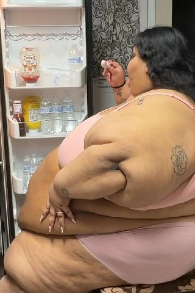Fridge Raid 2
