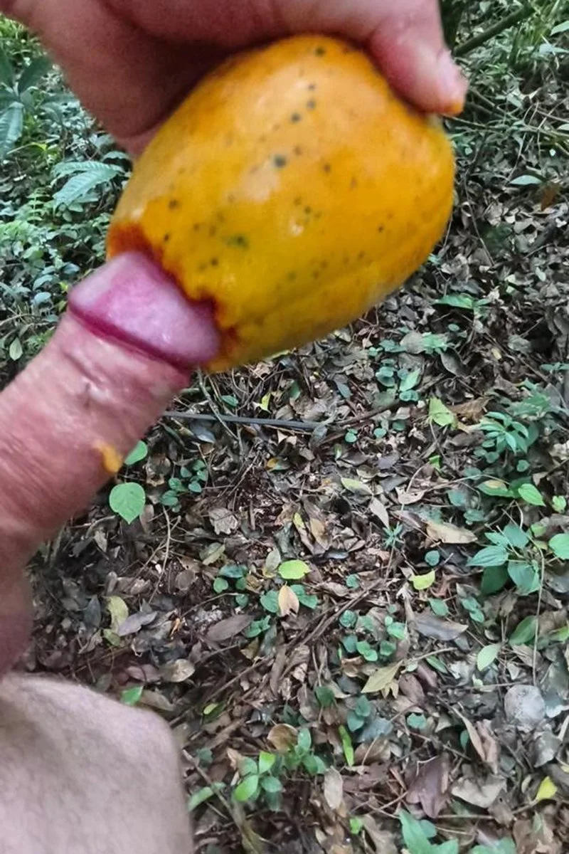 Papaya