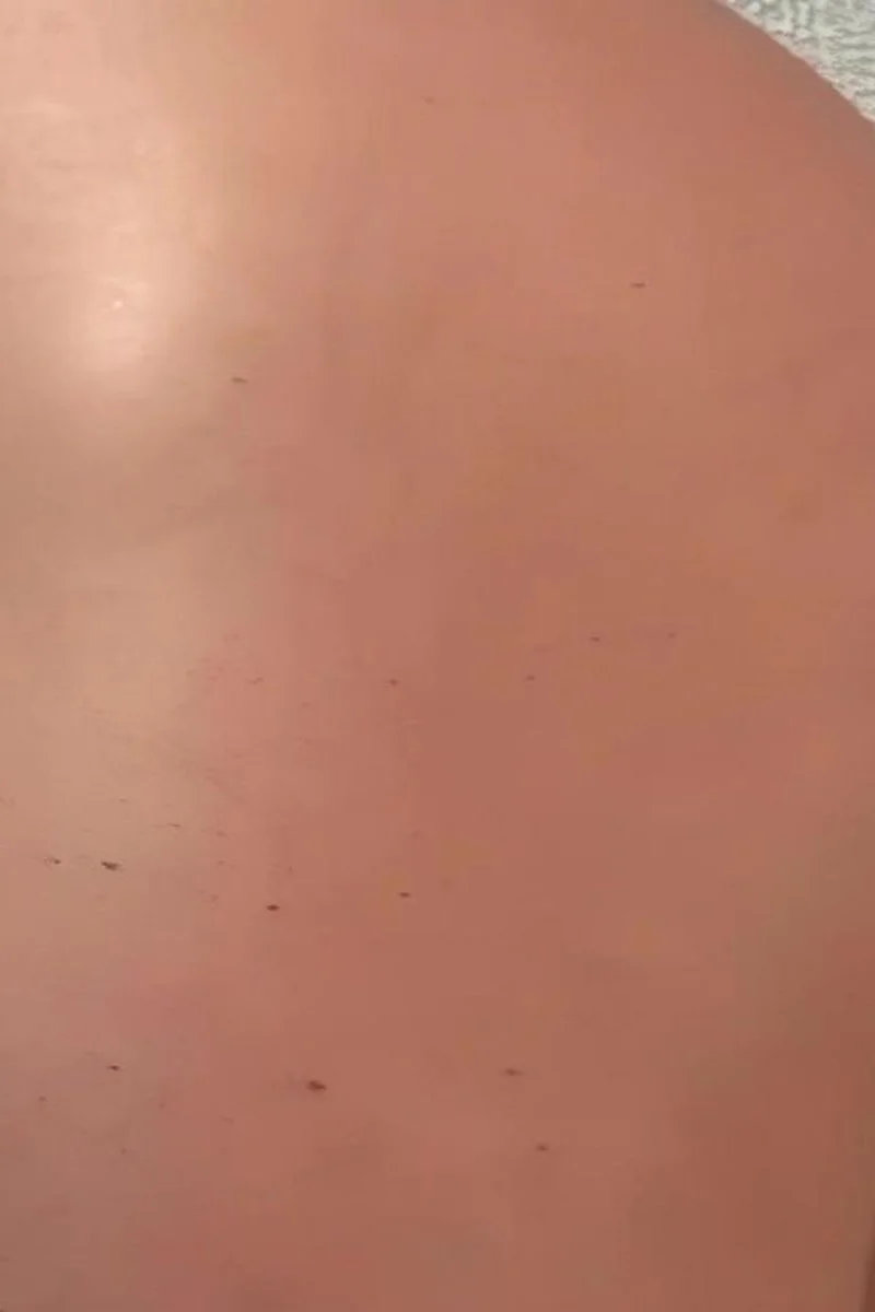 Nicole Sheridan Gets Her Ass Pounded Hard