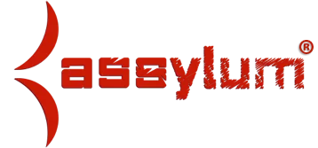 Assylum logo