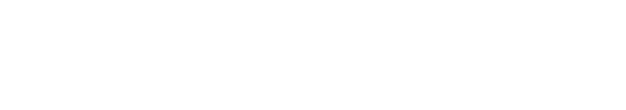 Latin Adultery logo