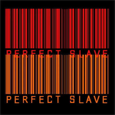 PerfectSlave logo