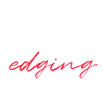 VRedging logo